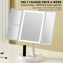 LED Desktop Vanity Mirror with Smart Daylight Lighting